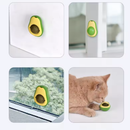 Bola de erva-de-gato (cantnip) para gatos